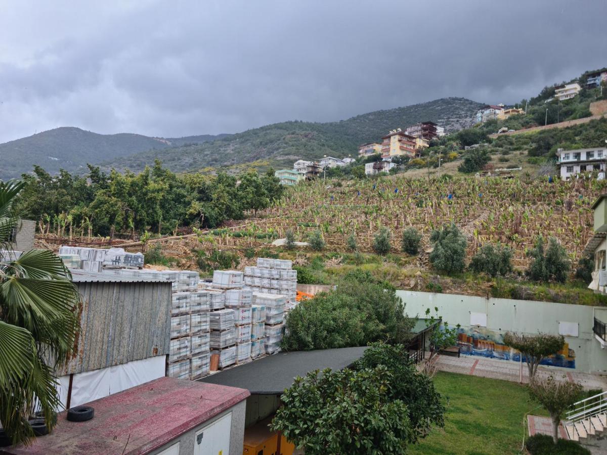 Ferienwohnung Kleopatra Sultan Rezidans Alanya Exterior foto
